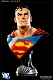 DC/ スーパーマン ライフサイズ バスト - イメージ画像3