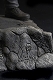 【SDCC2012 コミコン限定】死霊のはらわたII/ アッシュ 7インチ アクションフィギュア ヒーロー・フロム・ザ・スカイ ver - イメージ画像6