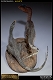 ダイナソーリア/ ディロフォサウルス マケット - イメージ画像3