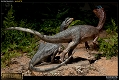 ダイナソーリア/ ディロフォサウルス マケット - イメージ画像5