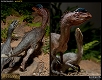 ダイナソーリア/ ディロフォサウルス マケット - イメージ画像7