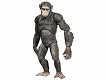 猿の惑星: 創世記（ジェネシス）/ シーザー 5インチ アクションフィギュア - イメージ画像1