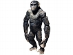 猿の惑星: 創世記（ジェネシス）/ コバ 5インチ アクションフィギュア - イメージ画像1