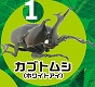 昆虫ハンター/ カブトムシ＆クワガタ: 10個入りボックス - イメージ画像1