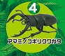 昆虫ハンター/ カブトムシ＆クワガタ: 10個入りボックス - イメージ画像4