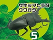 昆虫ハンター/ カブトムシ＆クワガタ: 10個入りボックス - イメージ画像5