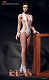 シームレス素体 1/6 アクションフィギュア 女性シームレスボディ ver.4.0 ミドルバスト 日焼け肌 PLMB2013-17 - イメージ画像1