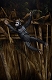 【送料無料】猿の惑星: 新世紀/ 7インチ アクションフィギュア シリーズ1: 3種セット - イメージ画像10