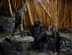 【送料無料】猿の惑星: 新世紀/ 7インチ アクションフィギュア シリーズ2: 3種セット - イメージ画像6