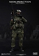 エリートシリーズ/ ロシア空挺部隊 VDV in クリミア 1/6 アクションフィギュア 78019 - イメージ画像2