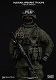 エリートシリーズ/ ロシア空挺部隊 VDV in クリミア 1/6 アクションフィギュア 78019 - イメージ画像6