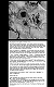 キラー・インスティクト・ウォー/ vol.1 サニー 1/6 アクションフィギュア OE-501 - イメージ画像23