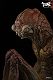 怪獣 Remix Series/ ウルトラQ: セミ人間 ソフビ製 塗装済 完成品 - イメージ画像10