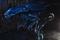 【送料無料】【再生産】エイリアン/ 7インチ アクションフィギュア シリーズ ウルトラデラックス: エイリアン・クイーン - イメージ画像7