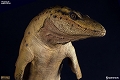 ダイナソーリア/ モササウルス スタチュー アンバーカラー ver - イメージ画像7