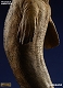 ダイナソーリア/ モササウルス スタチュー アンバーカラー ver - イメージ画像8