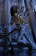 【送料無料】エイリアン/ 7インチ アクションフィギュア シリーズ7: 3種セット - イメージ画像19