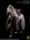 テンプル騎士団 騎馬 1/6 アクションフィギュア ACIH02 - イメージ画像1