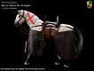 テンプル騎士団 騎馬 1/6 アクションフィギュア ACIH02 - イメージ画像2