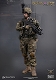 エリートシリーズ/ イギリス陸軍 in アフガニスタン 1/6 アクションフィギュア 78033 - イメージ画像8