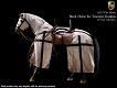 チュートン騎士団 騎馬 ブラック 1/6 アクションフィギュア ACIH03A - イメージ画像2