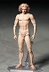 figma/ テーブル美術館: ウィトルウィウス的人体図 - イメージ画像3