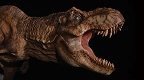ジュラシック・パーク/ ブレイクアウト ティラノサウルス・レックス T-REX スタチュー - イメージ画像8