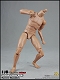 メール スキンカラー ナローショルダー 素体 1/6 アクションフィギュア BD001 - イメージ画像3