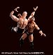 S.H.フィギュアーツ/ WWE: ザ・ロック - イメージ画像10