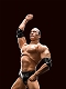 S.H.フィギュアーツ/ WWE: ザ・ロック - イメージ画像7