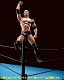 S.H.フィギュアーツ/ WWE: ザ・ロック - イメージ画像8