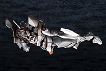 ゴジラ 対 エヴァンゲリオン/ エヴァンゲリオン初号機 メカゴジラカラー プラモデルキット - イメージ画像8