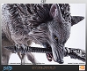 ダークソウル/ 灰色の大狼シフ スタチュー - イメージ画像34