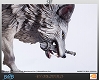 ダークソウル/ 灰色の大狼シフ スタチュー - イメージ画像38
