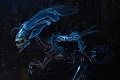 【再生産】エイリアン/ 7インチ アクションフィギュア シリーズ ウルトラデラックス: エイリアン・クイーン - イメージ画像8