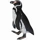 【お取り寄せ終了】ソフビトイボックス/ フンボルトペンギン - イメージ画像10