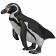 【お取り寄せ終了】ソフビトイボックス/ フンボルトペンギン - イメージ画像11