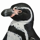 【お取り寄せ終了】ソフビトイボックス/ フンボルトペンギン - イメージ画像12