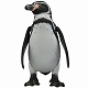 【お取り寄せ終了】ソフビトイボックス/ フンボルトペンギン - イメージ画像4