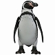 【お取り寄せ終了】ソフビトイボックス/ フンボルトペンギン - イメージ画像6