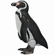 【お取り寄せ終了】ソフビトイボックス/ フンボルトペンギン - イメージ画像9
