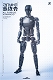 リアリスティック ロボット シリーズ/ ロボティック ピンヤイク 1/6 アクショフィギュア コンバットタイプ ブラック ver - イメージ画像1