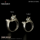 ダークソウル × TORCH TORCH/ リングコレクション: 銀猫の指輪 メンズモデル/17号 - イメージ画像6
