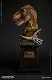 ミュージアムコレクションシリーズ/ T-REX ティラノサウルス バスト イエロー ver MUS001A - イメージ画像1