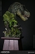 ミュージアムコレクションシリーズ/ T-REX ティラノサウルス バスト グリーン ver MUS001B - イメージ画像5