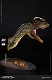 ミュージアムコレクションシリーズ/ ディロフォサウルス バスト Bタイプ MUS002B - イメージ画像2