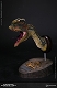 ミュージアムコレクションシリーズ/ ディロフォサウルス バスト Bタイプ MUS002B - イメージ画像3