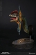 ミュージアムコレクションシリーズ/ ディロフォサウルス バスト Cタイプ MUS002C - イメージ画像4