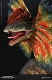 ミュージアムコレクションシリーズ/ ディロフォサウルス バスト Cタイプ MUS002C - イメージ画像5