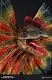 ミュージアムコレクションシリーズ/ ディロフォサウルス バスト Cタイプ MUS002C - イメージ画像6